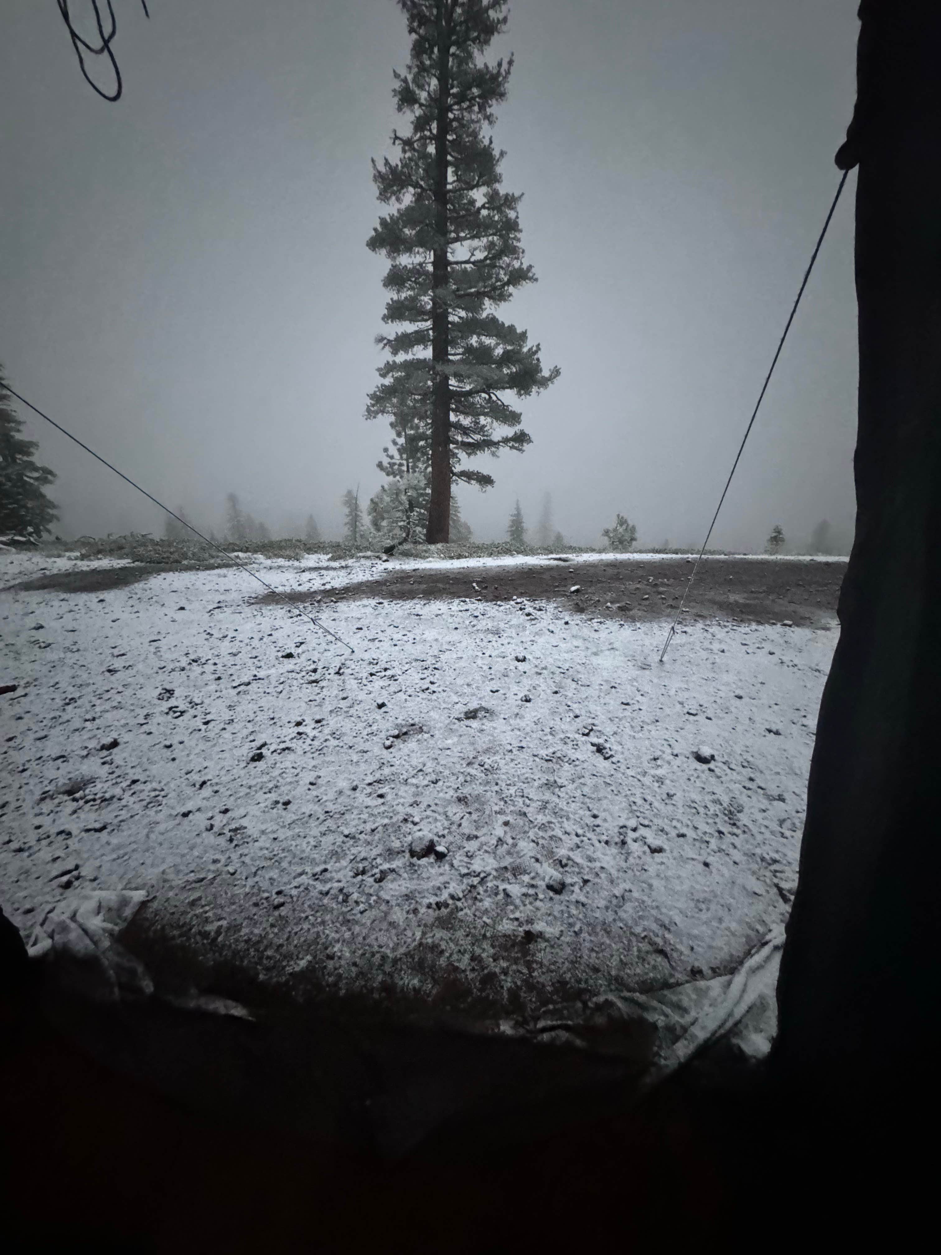 Camper-submitted photo at Bear Lake Rd. Dispersed near Emigrant Gap, CA