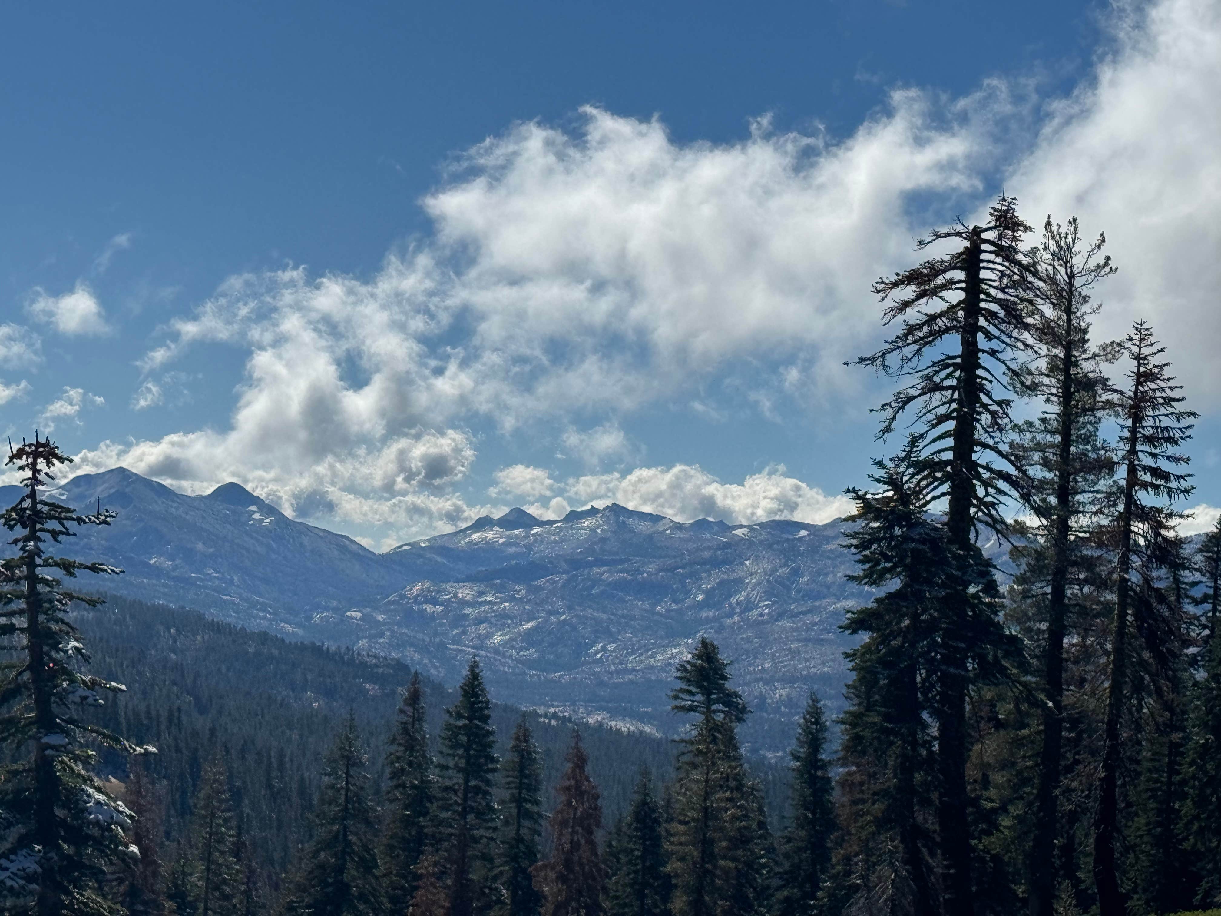 Jakey and Alex L.'s photo of a dispersed camping area at Bear Lake Rd. Dispersed near Colfax, CA