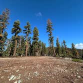 Review photo of Bear Lake Rd. Dispersed by Jakey and Alex L., October 12, 2023