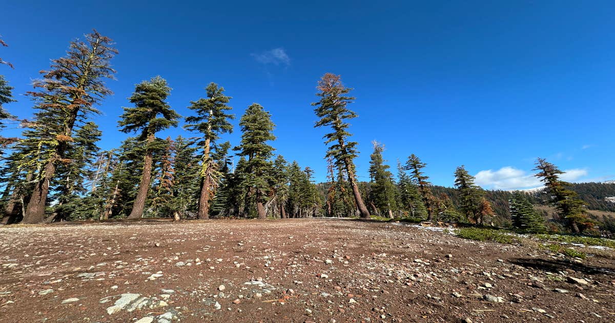 Bear Lake Rd. Dispersed