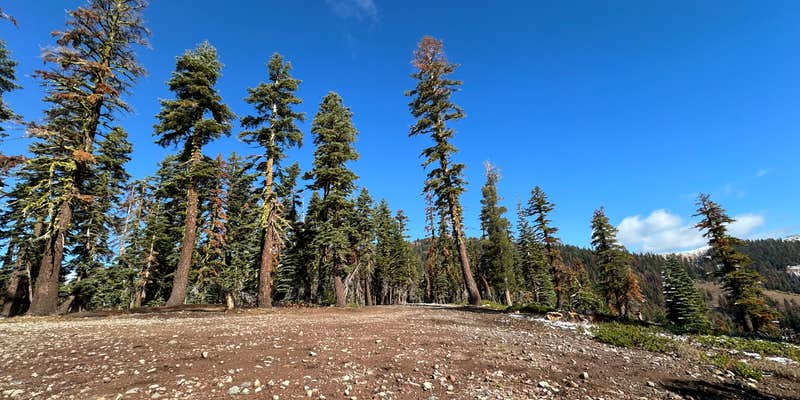 Camper submitted image from Bear Lake Rd. Dispersed