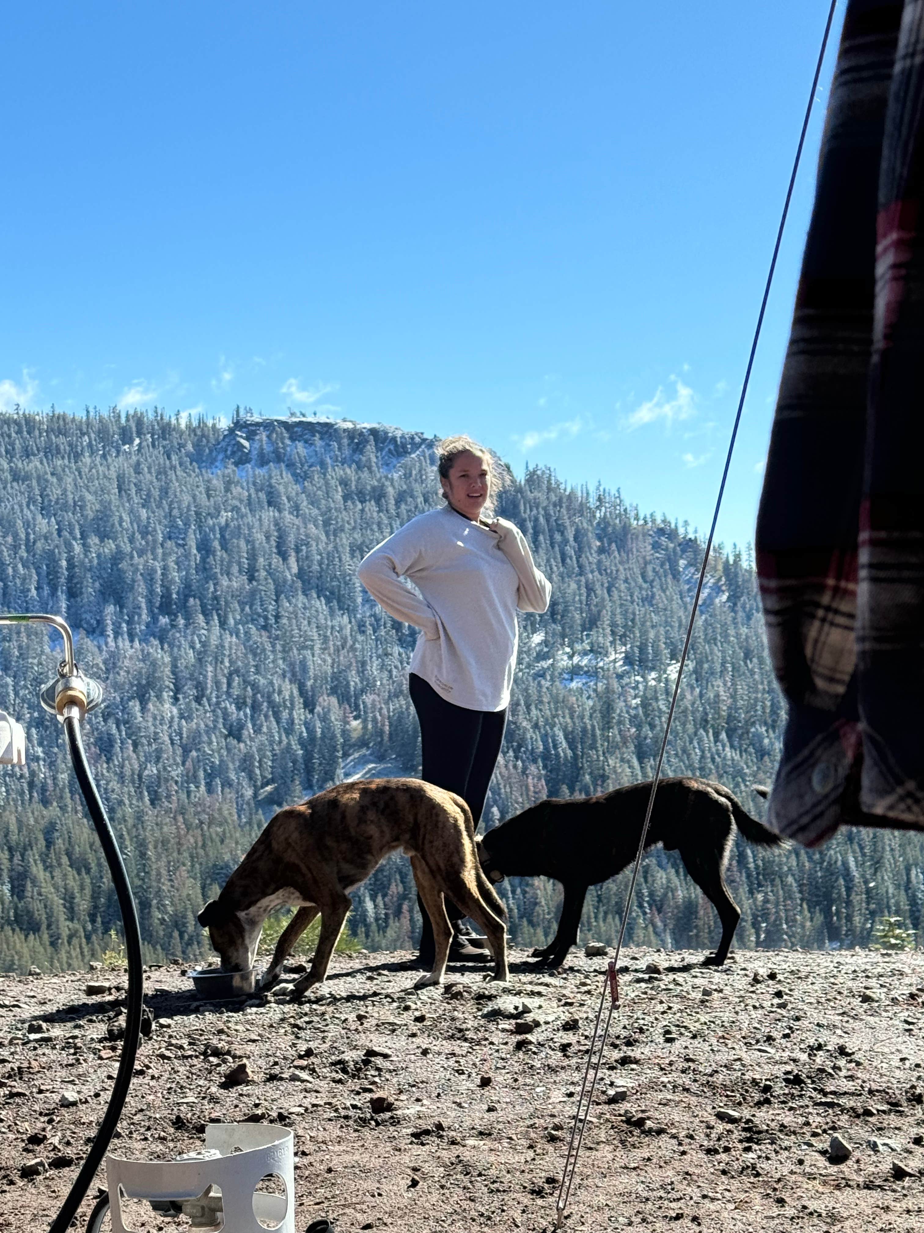 Jakey and Alex L.'s photo of camping with pets at Bear Lake Rd. Dispersed near South Lake Tahoe, CA