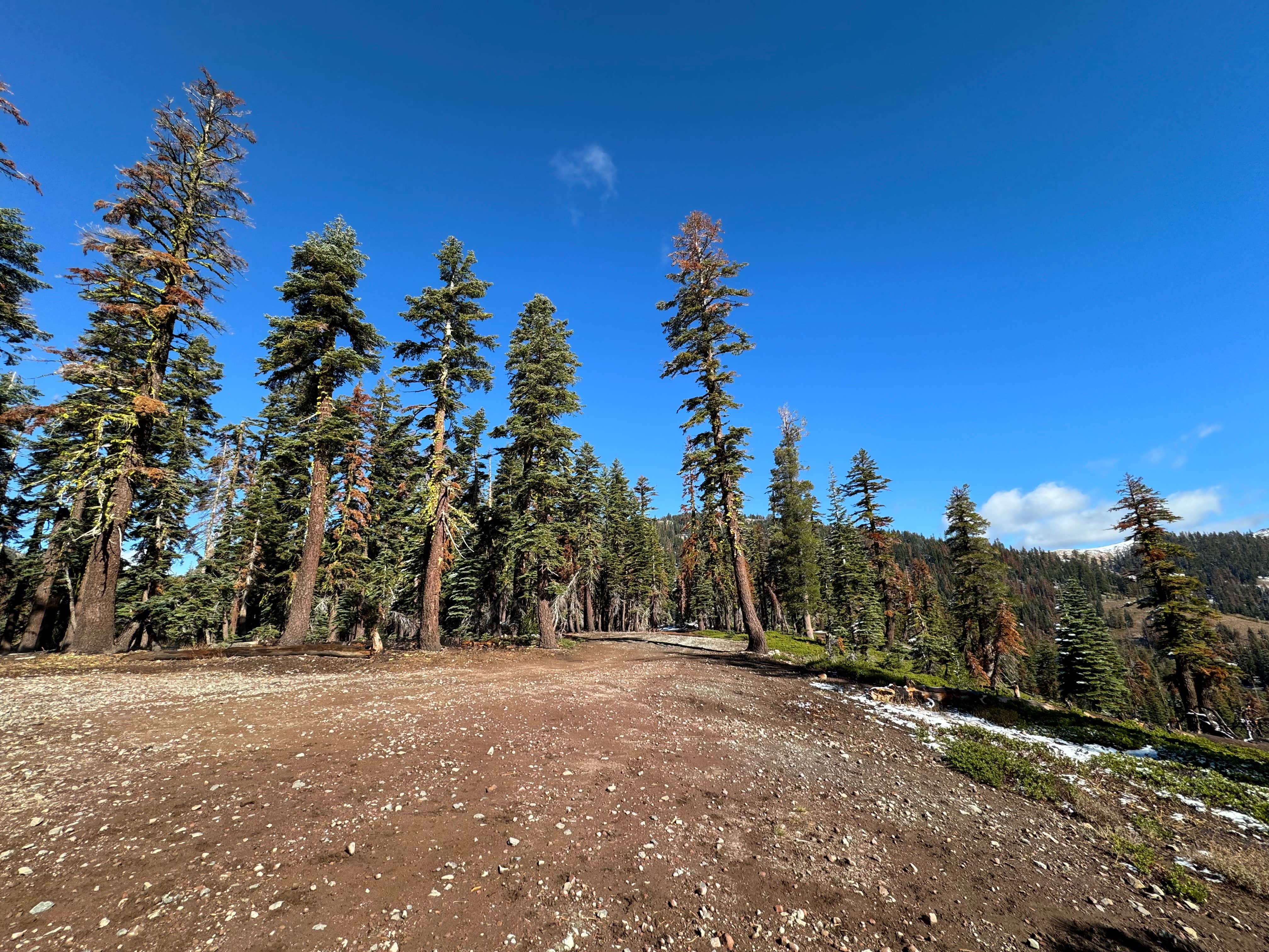 Camper-submitted photo at Bear Lake Rd. Dispersed near Emigrant Gap, CA