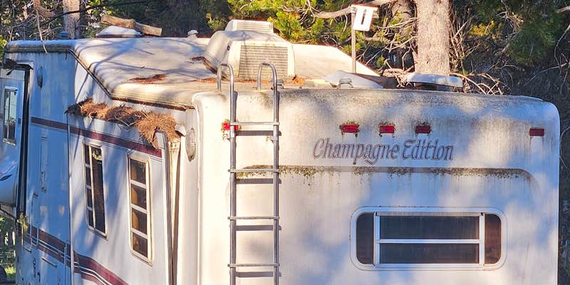 Camper submitted image from Bear Lodge Resort