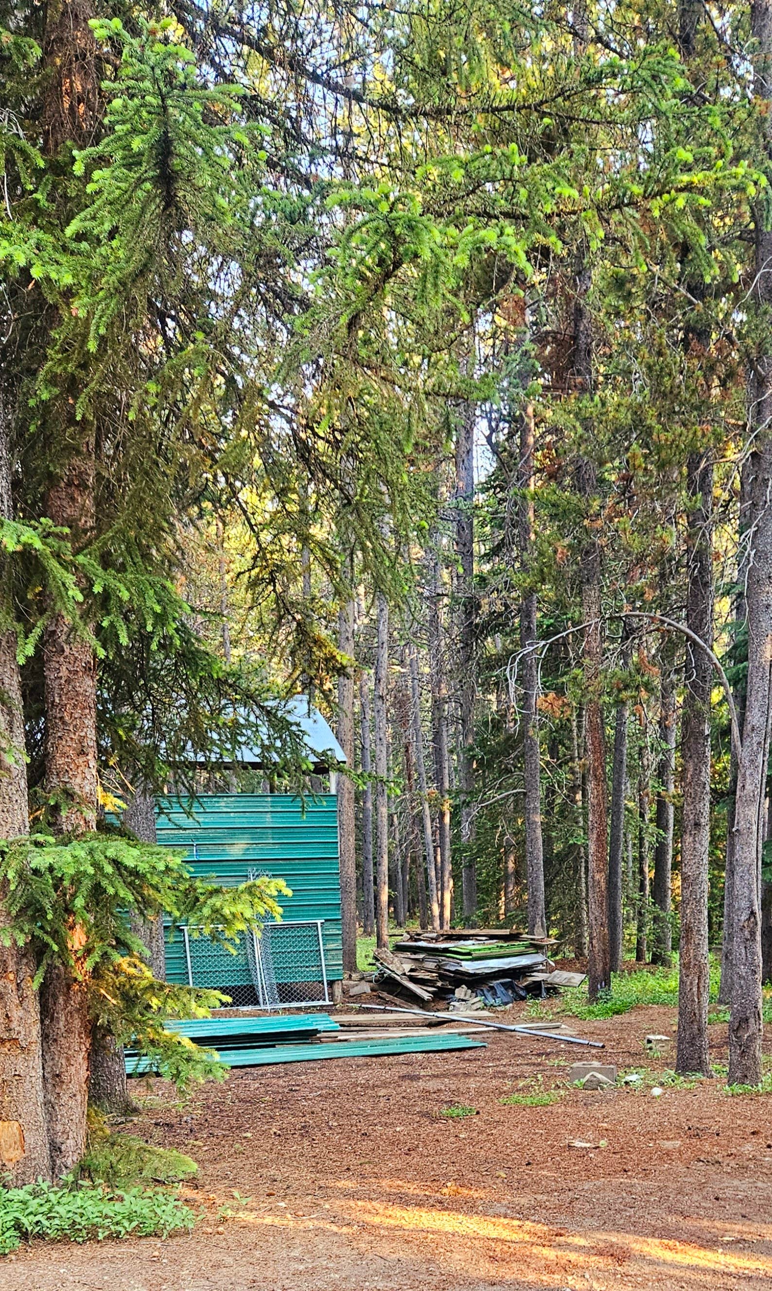 Camper submitted image from Bear Lodge Resort - 4