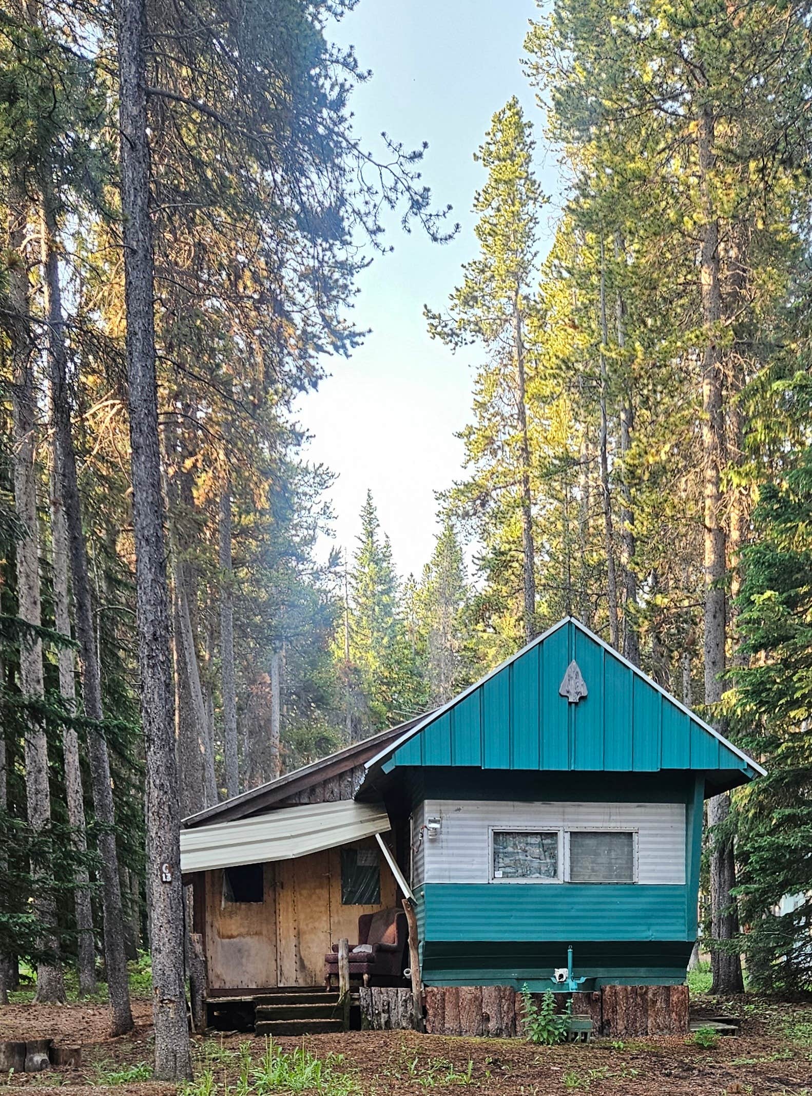 Pallah B.'s photo of a cabin at Bear Lodge Resort near Greybull, WY