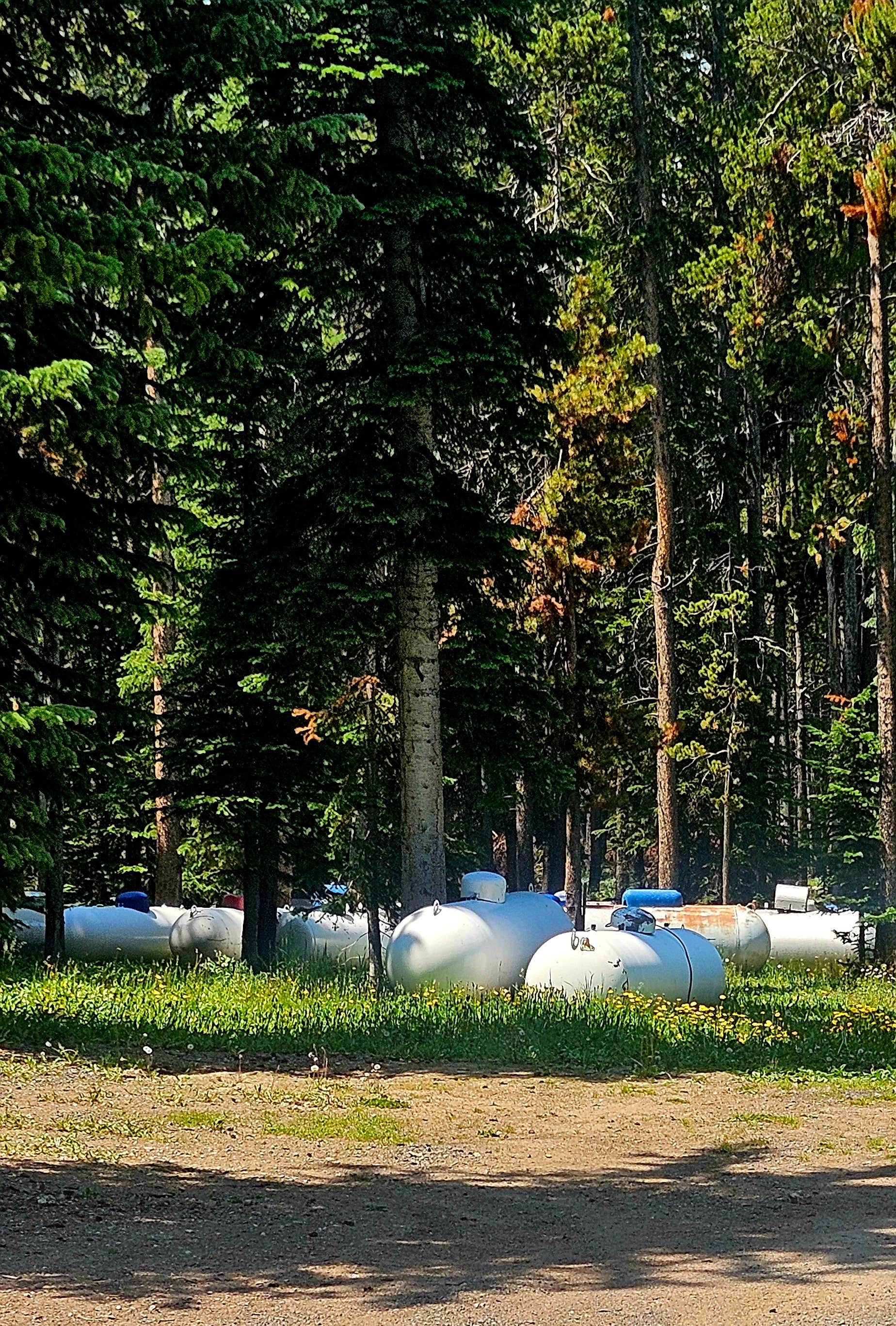 Pallah B.'s photo at Bear Lodge Resort near Dayton, WY