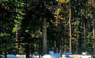 Pallah B.'s photo at Bear Lodge Resort near Fort Smith, MT