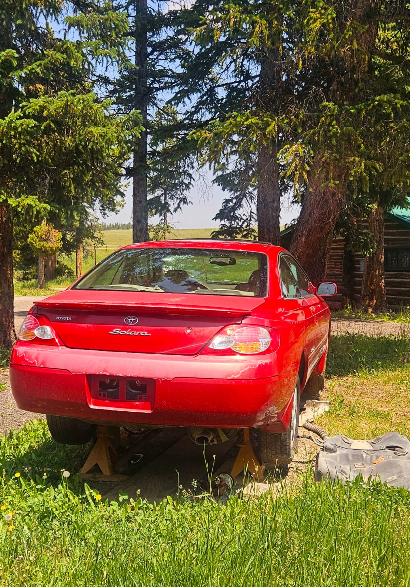 Camper-submitted photo at Bear Lodge Resort near Dayton, WY