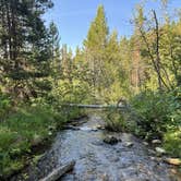 Review photo of Bear Paw Lake — Grand Teton National Park by Drew H., August 3, 2025