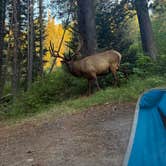Review photo of Bear Paw Lake — Grand Teton National Park by Drew H., August 3, 2025