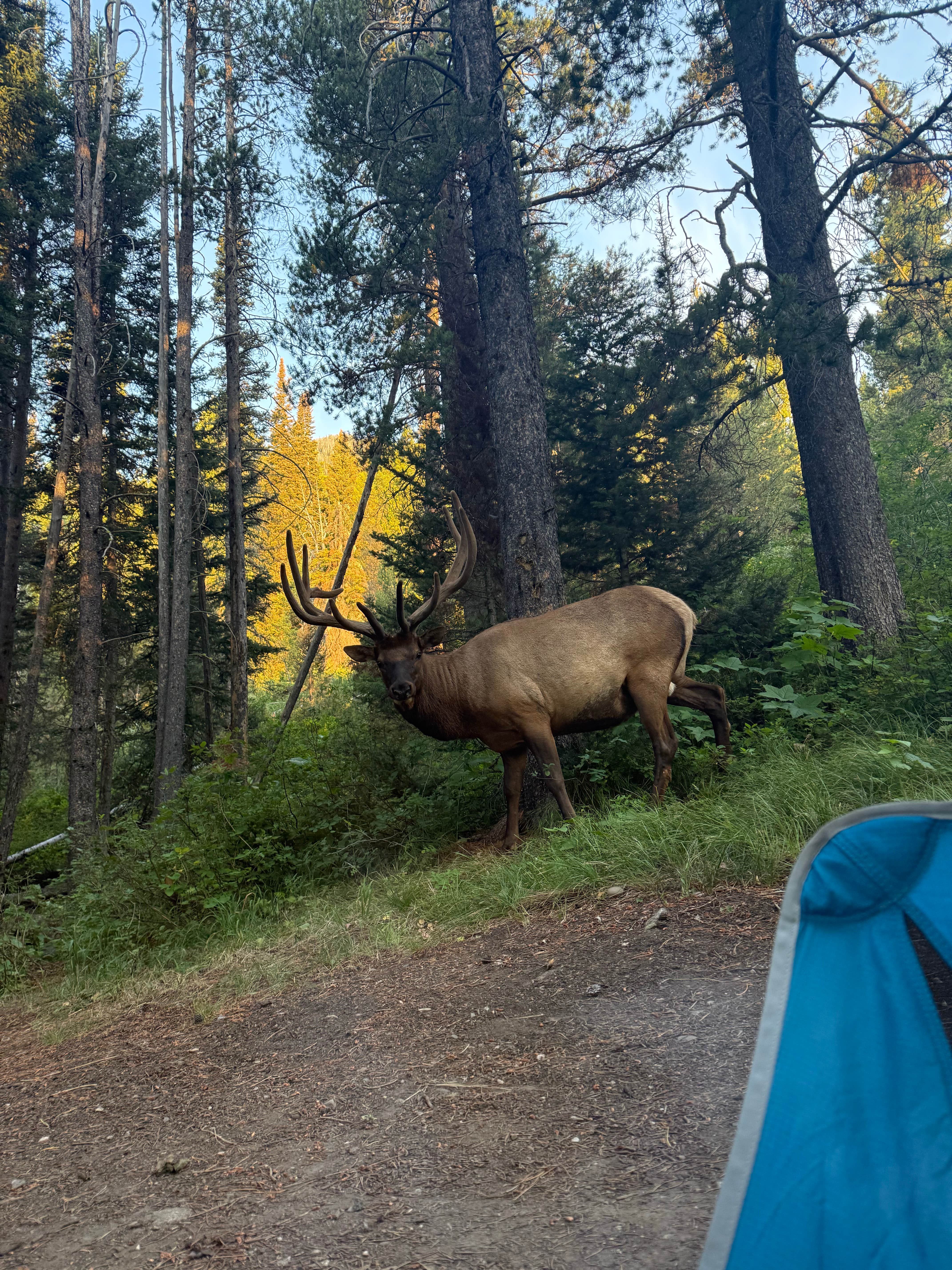 Camper submitted image from Bear Paw Lake — Grand Teton National Park - 1