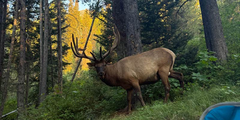 Camper submitted image from Bear Paw Lake — Grand Teton National Park