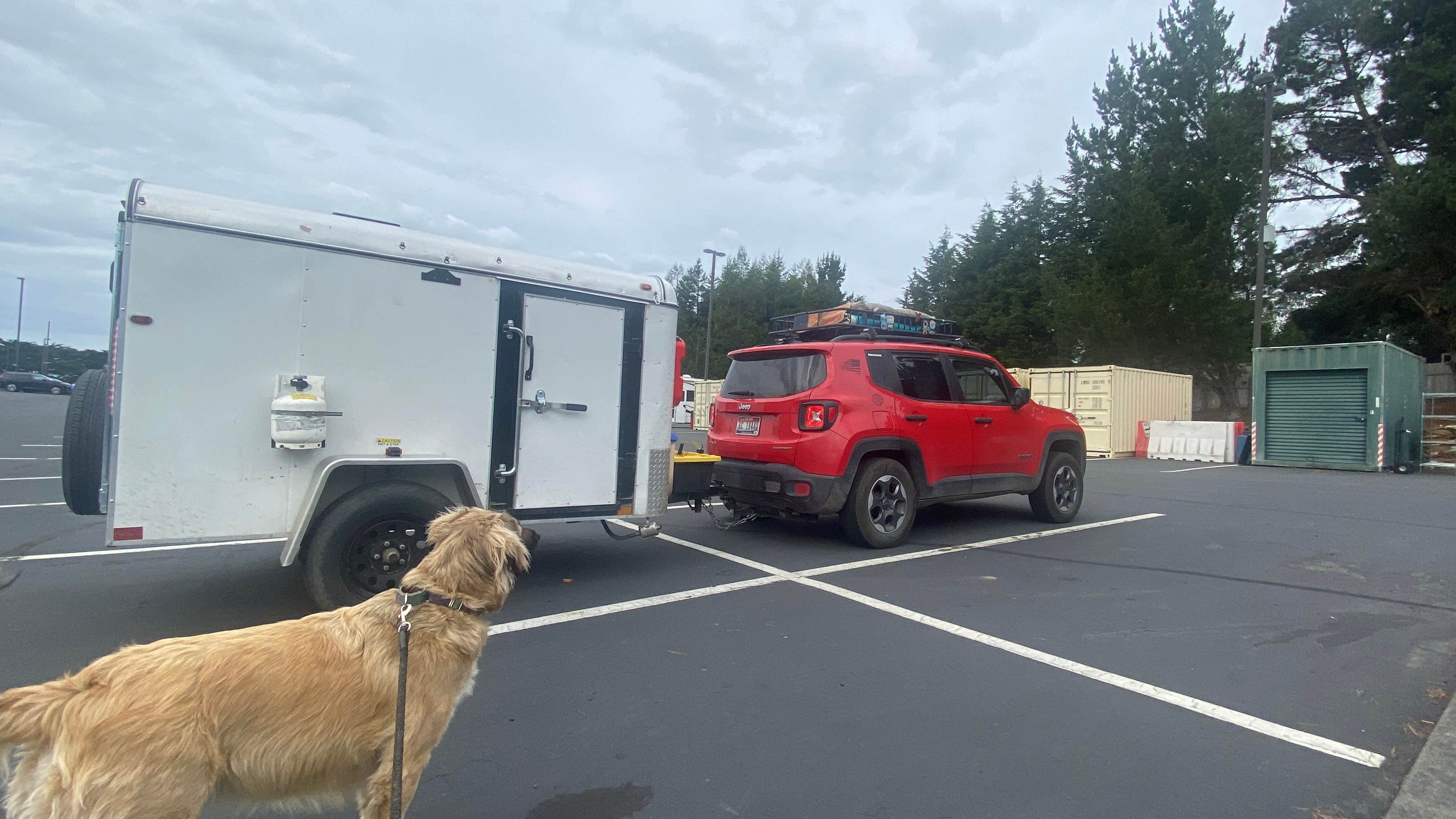 Imerie T.'s photo of camping with pets at Bear River Casino near Arcata, CA