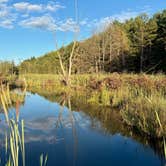 Review photo of Bear Run Campground by Bettina A., September 1, 2025