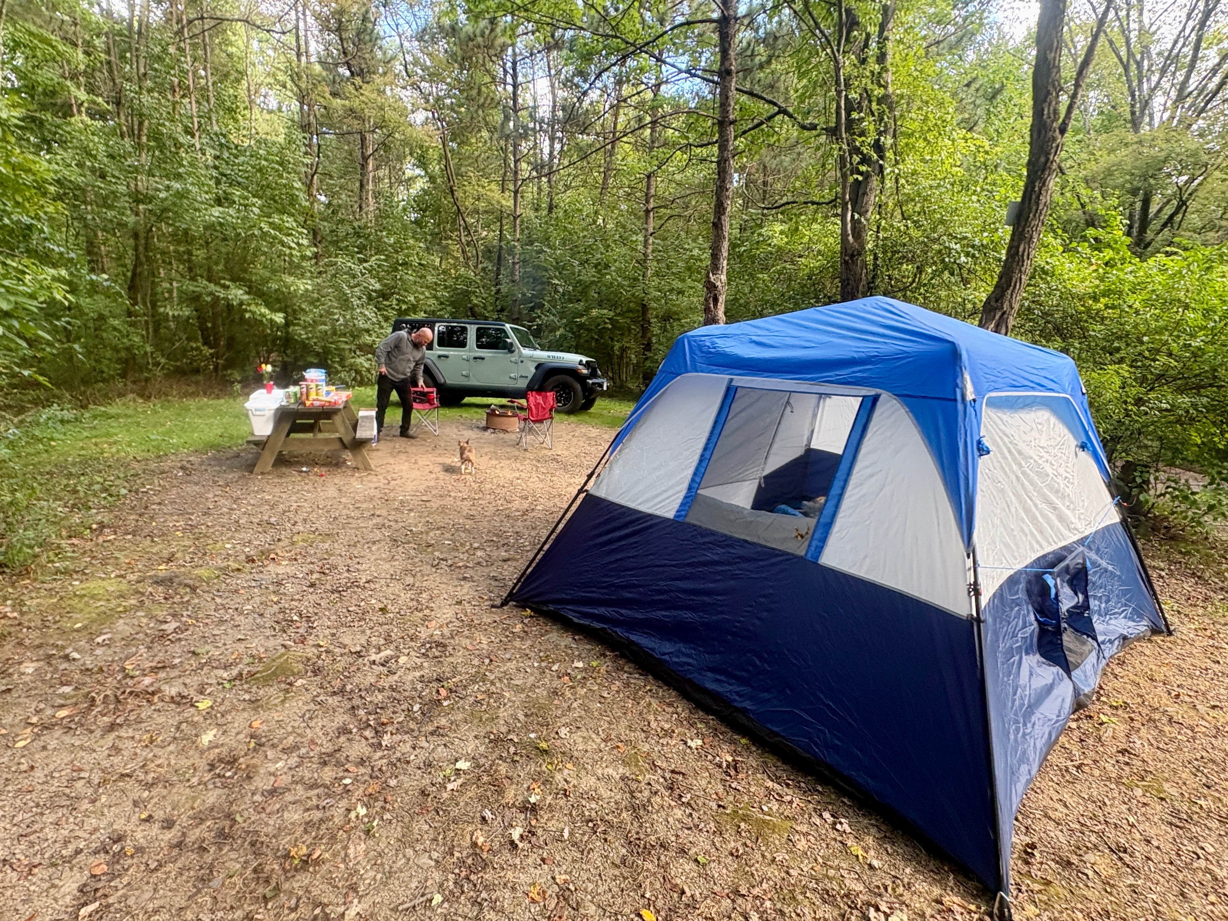 Bettina A.'s photo of camping with pets at Bear Run Campground near Poland, OH