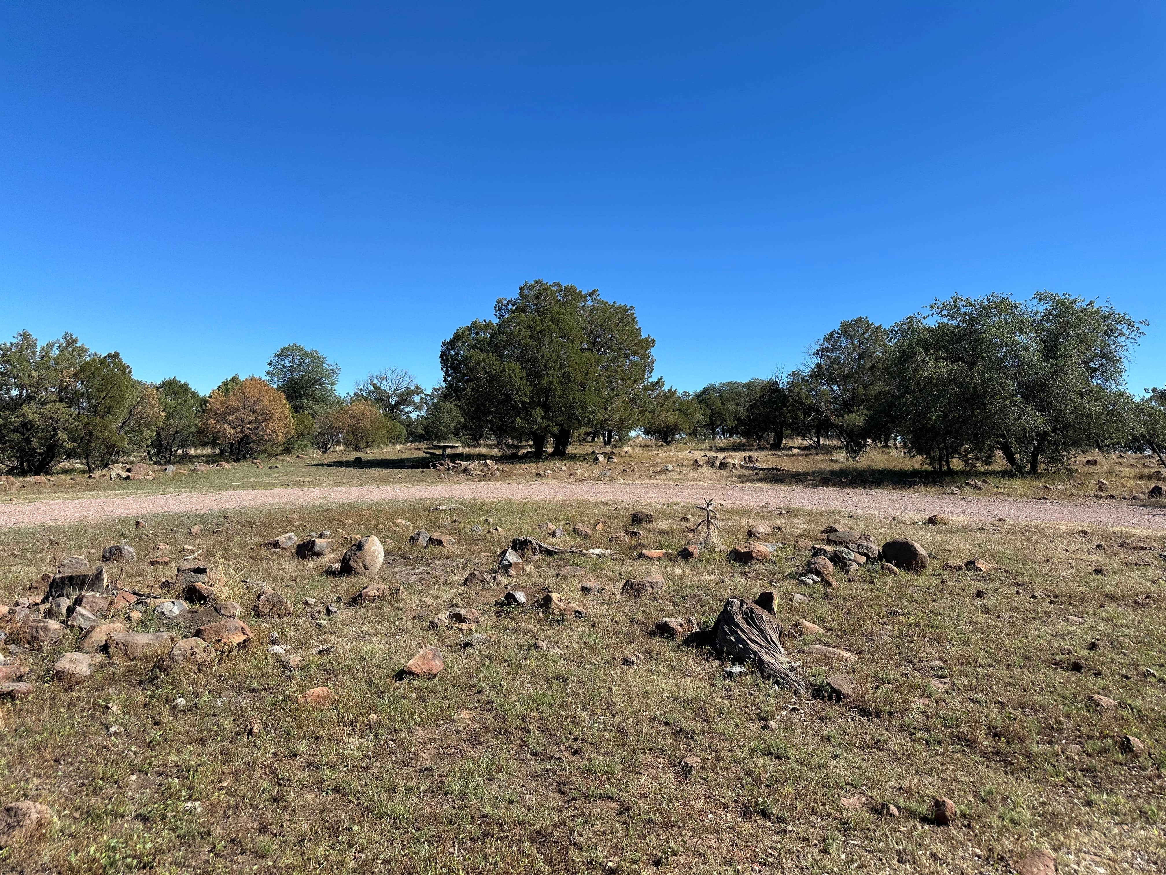 Camper-submitted photo at Bear Track Camp Picnic Site near Morenci, AZ