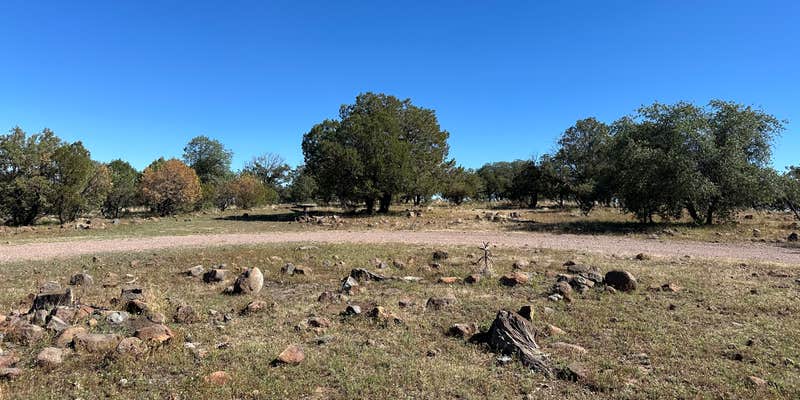 Camper submitted image from Bear Track Camp Picnic Site