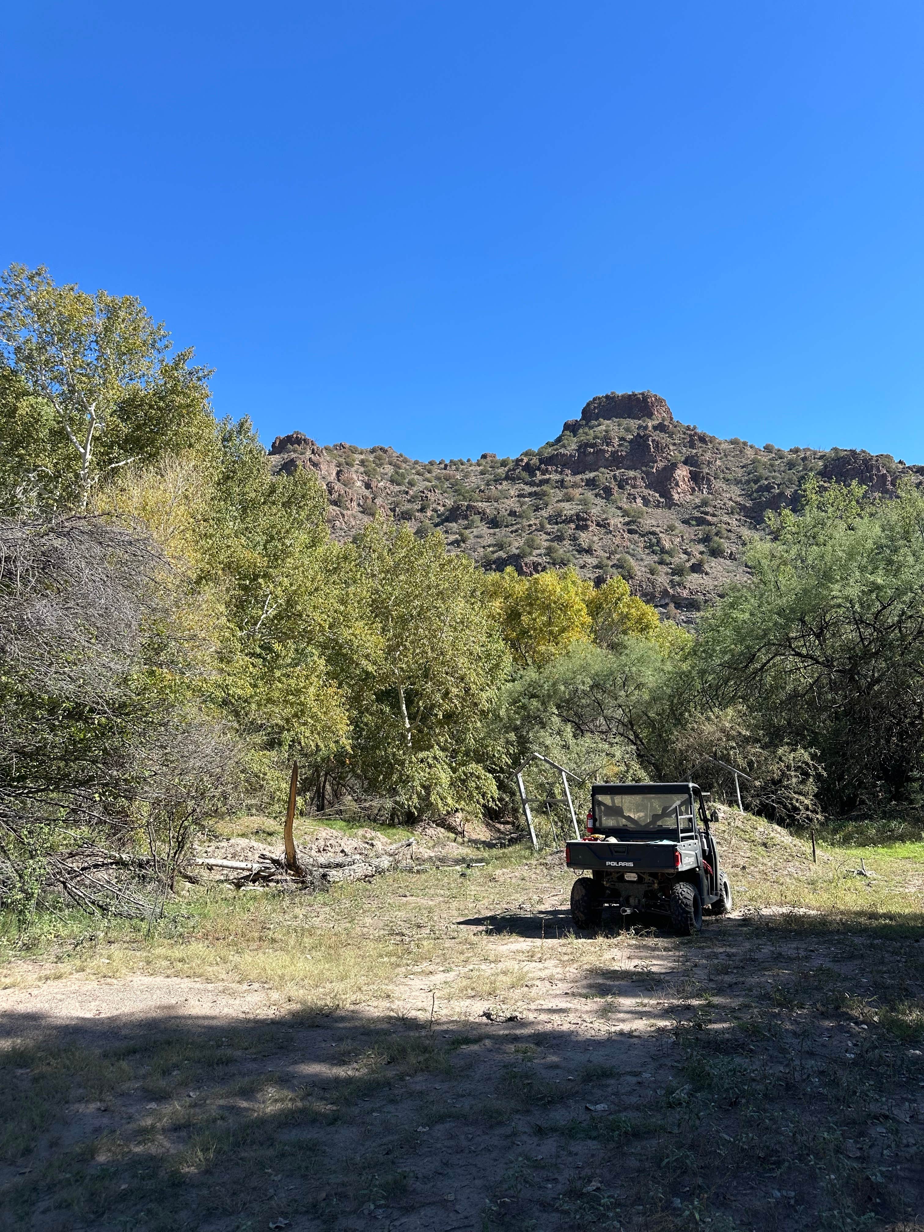 Camper-submitted photo at Bear Track Camp Picnic Site near Morenci, AZ