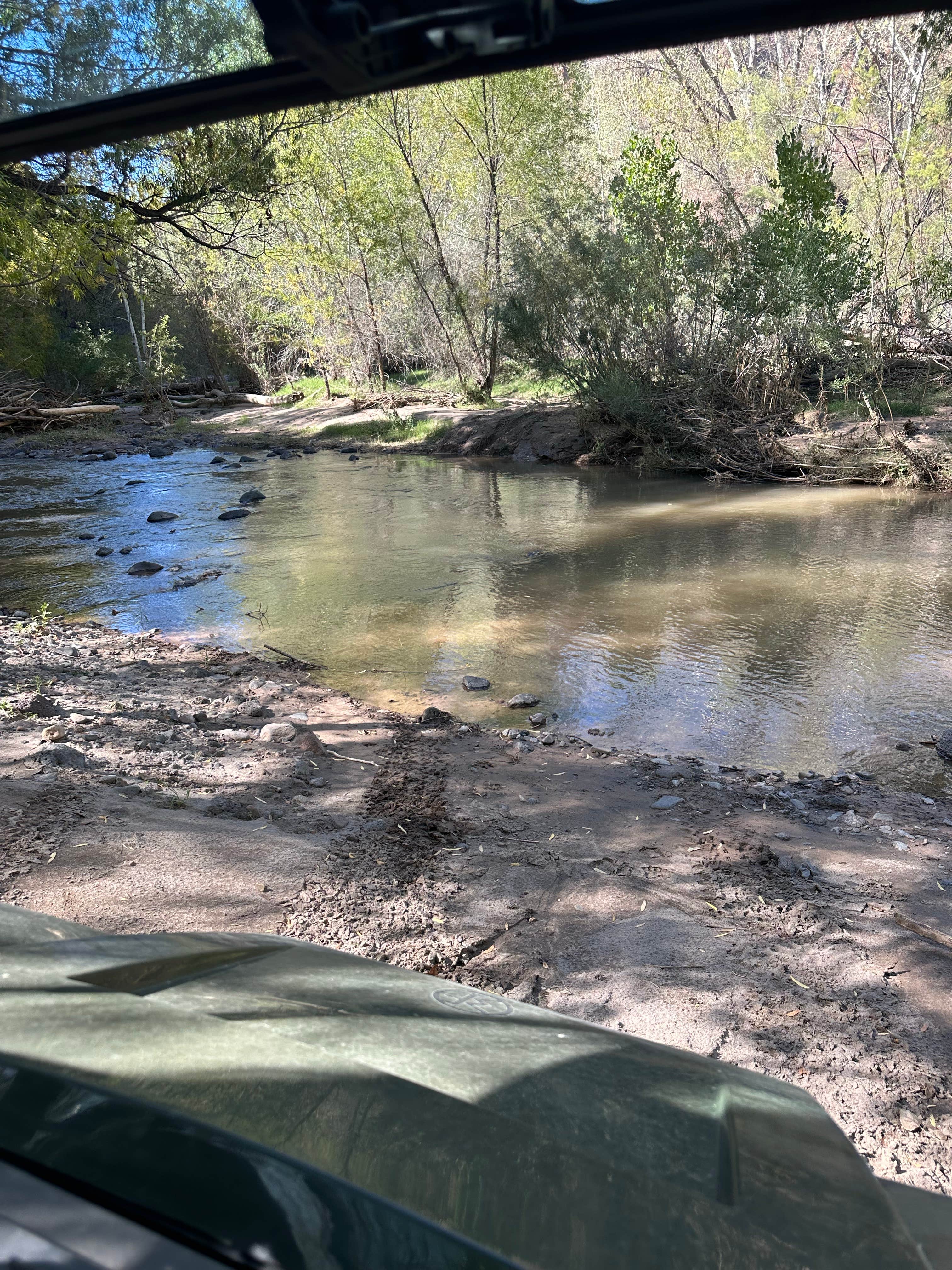 Camper-submitted photo at Bear Track Camp Picnic Site near Morenci, AZ
