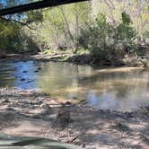 Review photo of Bear Track Camp Picnic Site by Alisa P., October 28, 2025