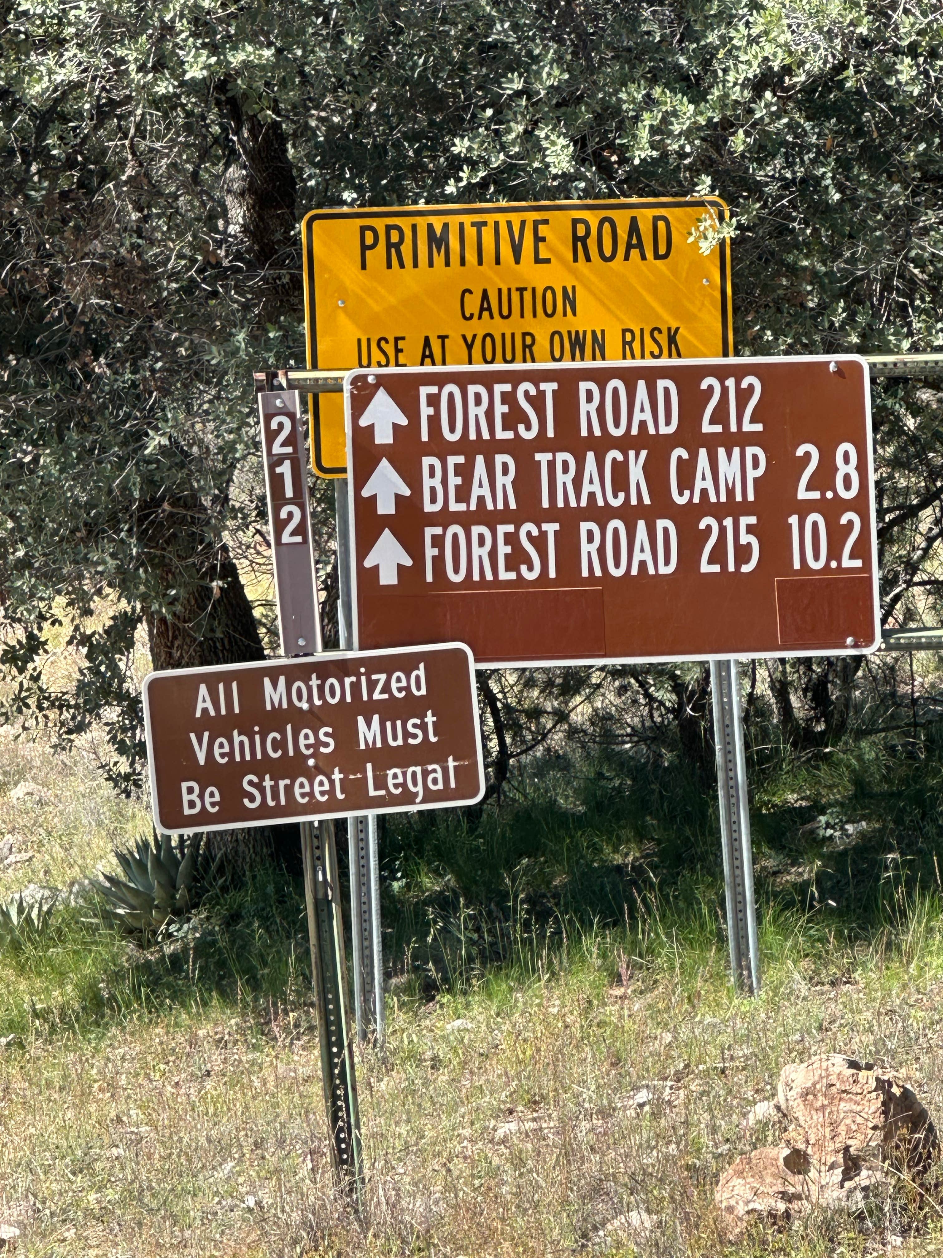 Camper-submitted photo at Bear Track Camp Picnic Site near Morenci, AZ