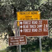 Review photo of Bear Track Camp Picnic Site by Alisa P., October 28, 2025