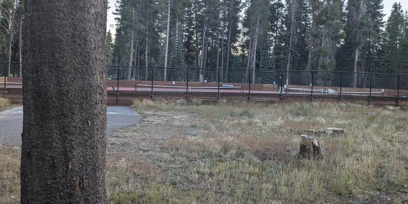 Camper submitted image from Bear Valley Dispersed Camping