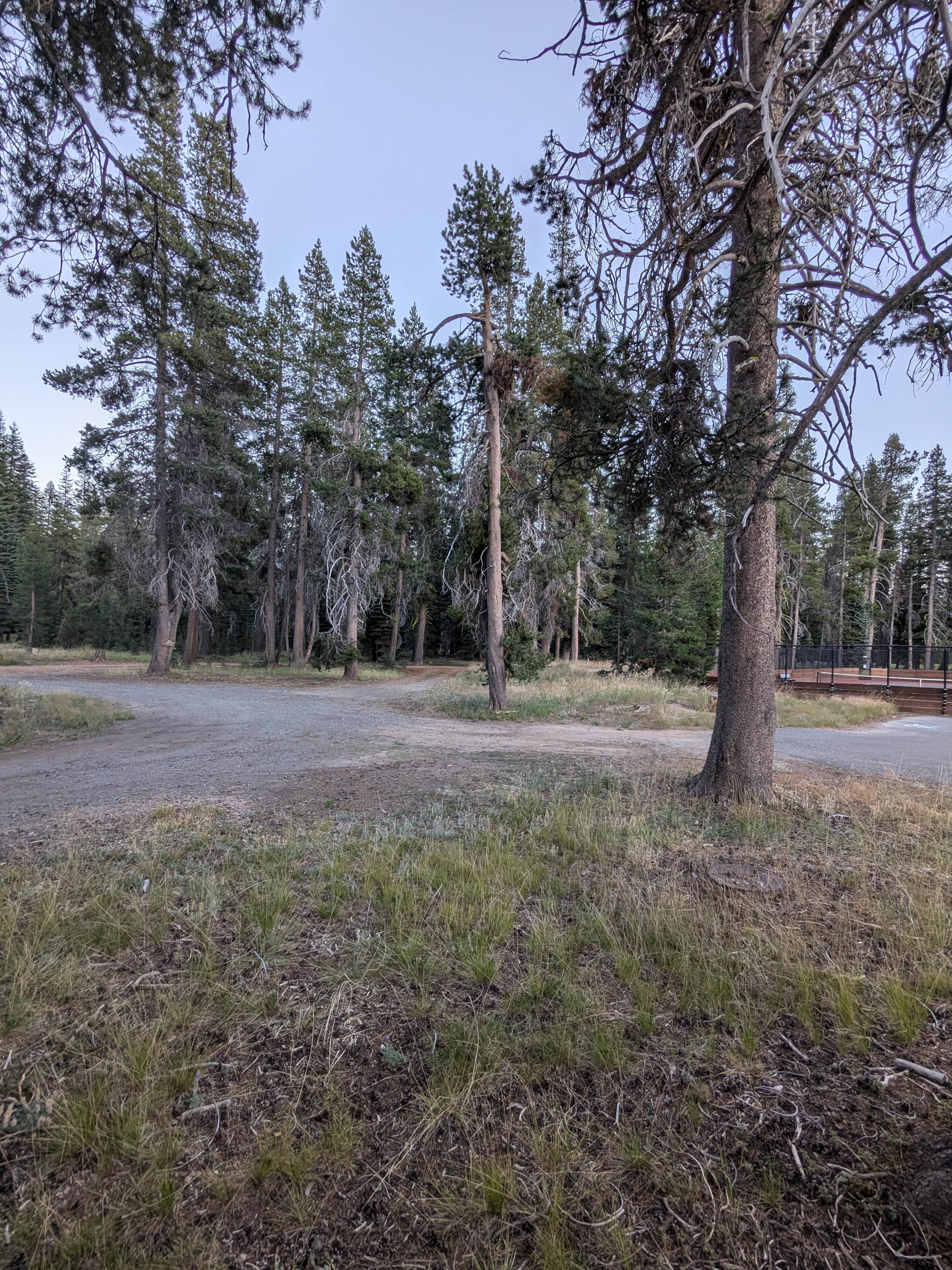 Camper-submitted photo at Bear Valley Dispersed Camping near Fort Jones, CA