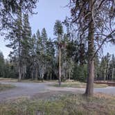 Review photo of Bear Valley Dispersed Camping by DJ M., August 20, 2024