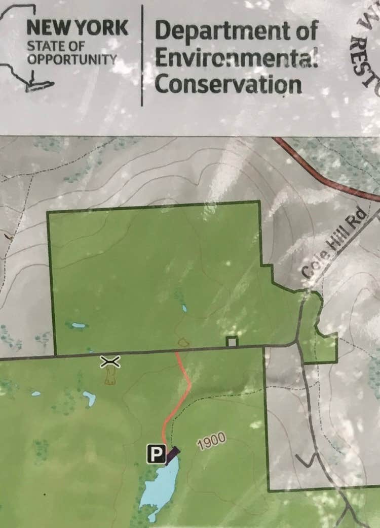 Camper-submitted photo at Bear Wallow Pond Dispersed Campsite in Pharsalia Woods near Syracuse, NY