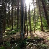 Review photo of Bear Wallow Pond Dispersed Campsite in Pharsalia Woods by Janet R., June 16, 2024