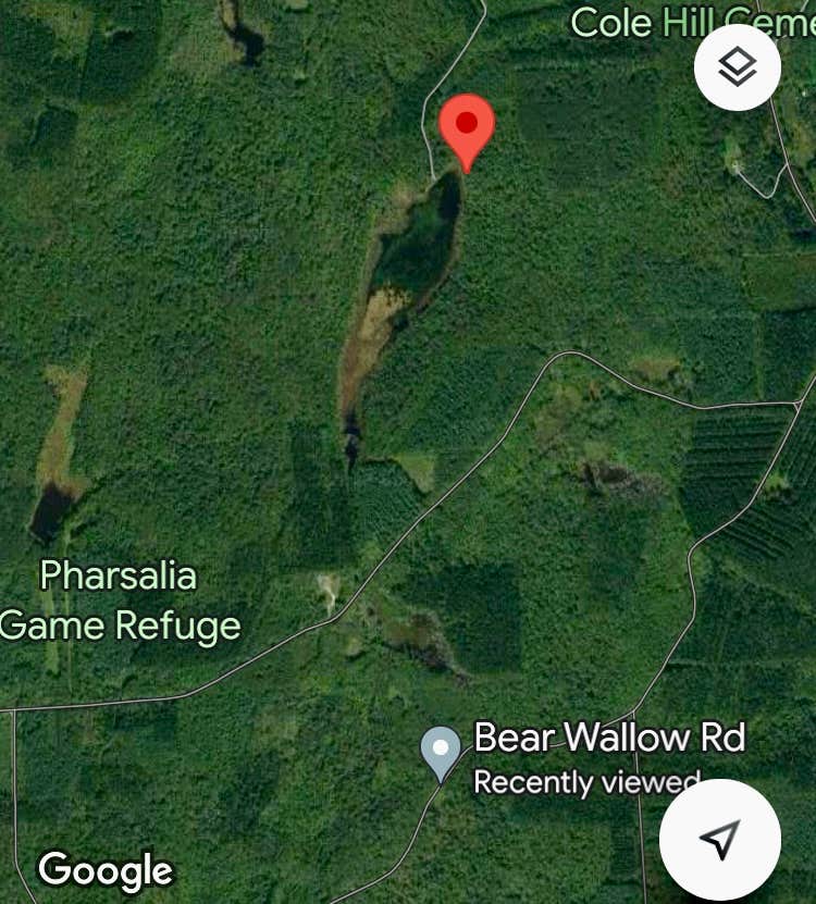 Camper submitted image from Bear Wallow Pond Dispersed Campsite in Pharsalia Woods - 2