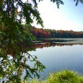 Review photo of Bear Wallow Pond Dispersed Campsite in Pharsalia Woods by Janet R., June 16, 2024