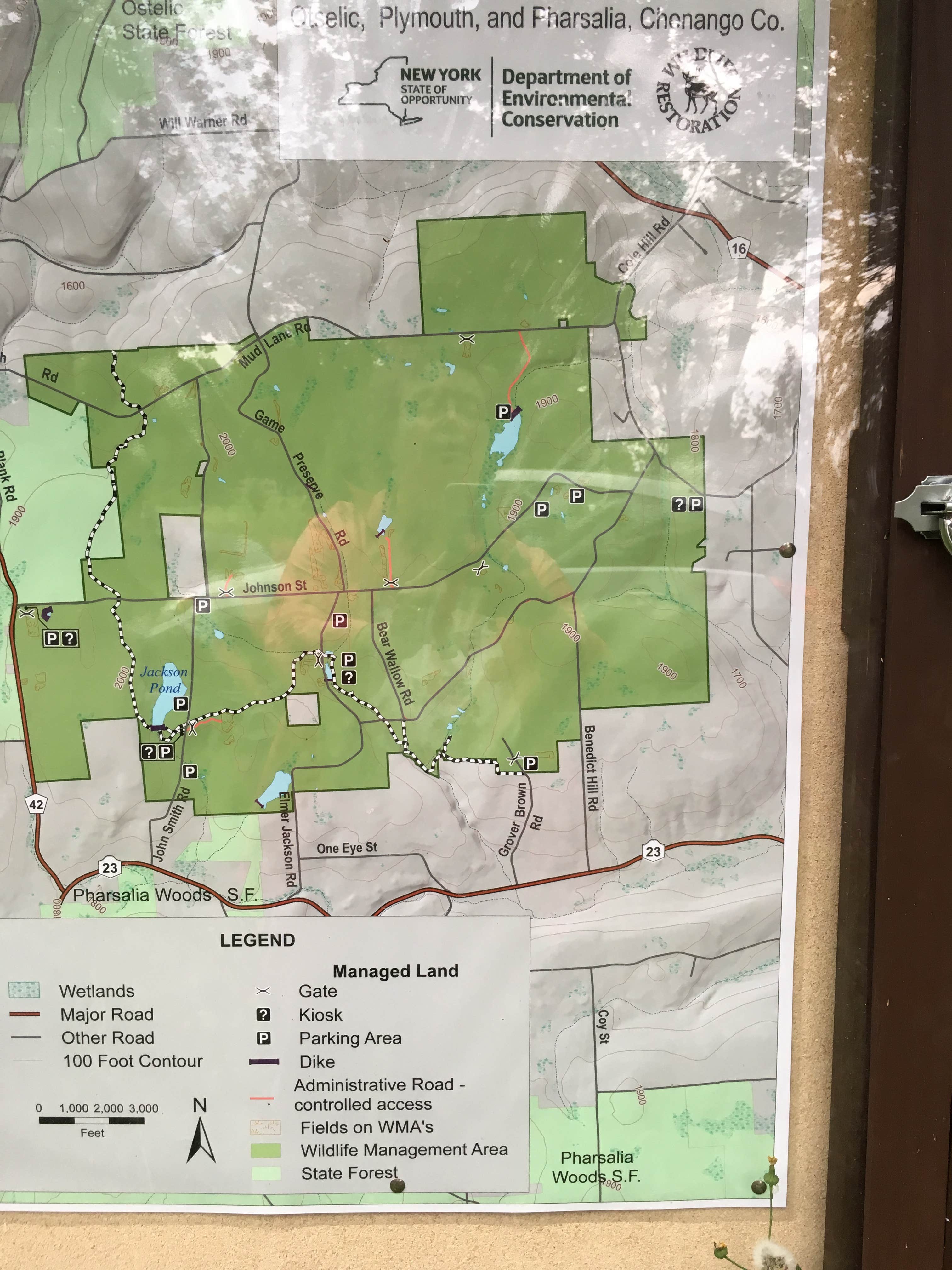 Camper-submitted photo at Bear Wallow Pond Dispersed Campsite in Pharsalia Woods near Marietta, NY