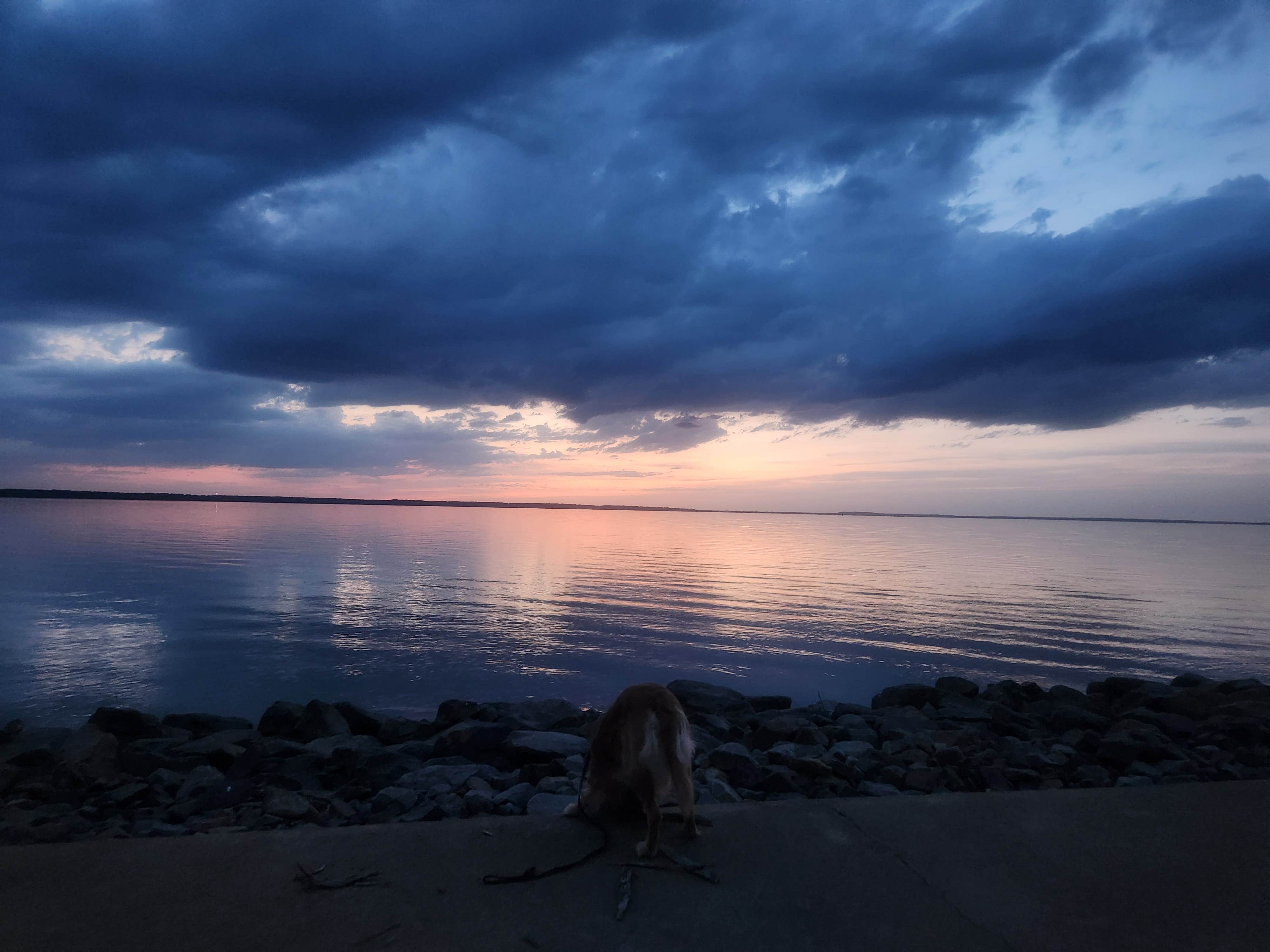 Camper-submitted photo at Beard's Bluff Park near Millwood Lake