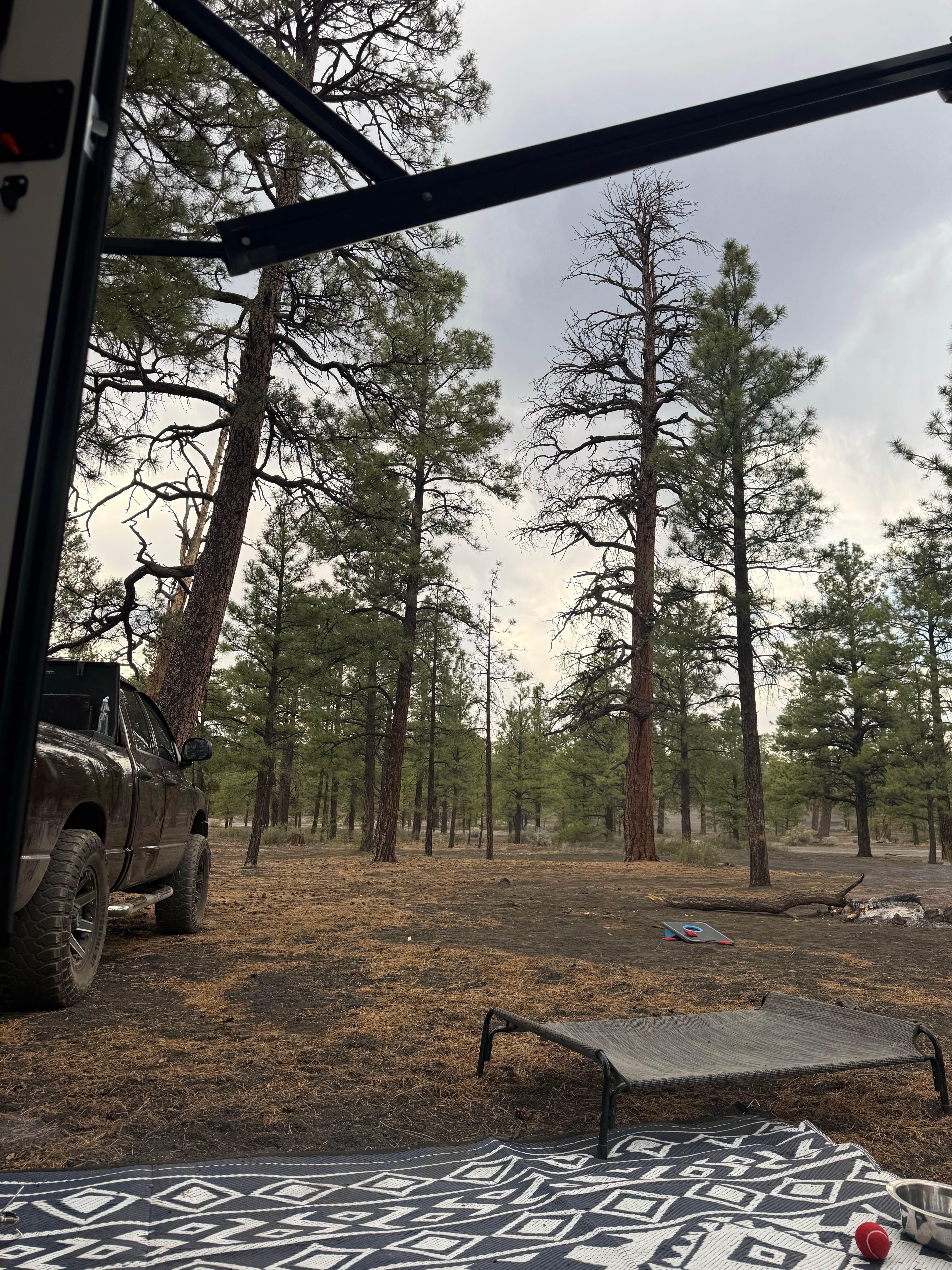 Camping near Spring Group Campground: Bearhide Group Site, Sun Valley, Arizona