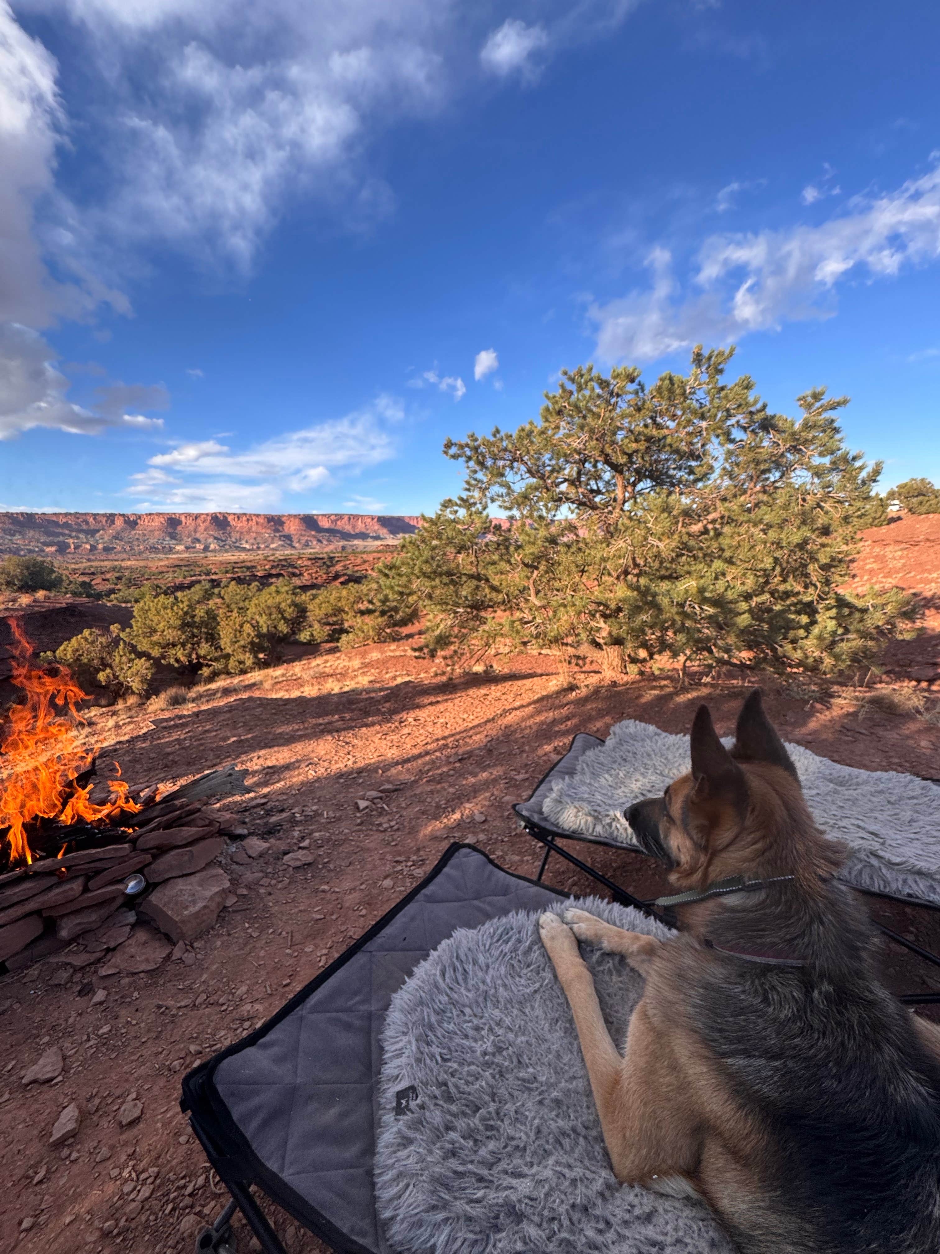 Camper-submitted photo at Beas Lewis Flat Dispersed near Capitol Reef National Park