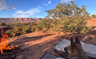 Bethany W.'s photo of camping with pets at Beas Lewis Flat Dispersed near Capitol Reef National Park