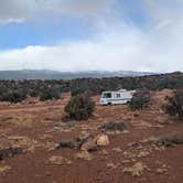Review photo of Beas Lewis Flat Dispersed by Megan B., April 17, 2025