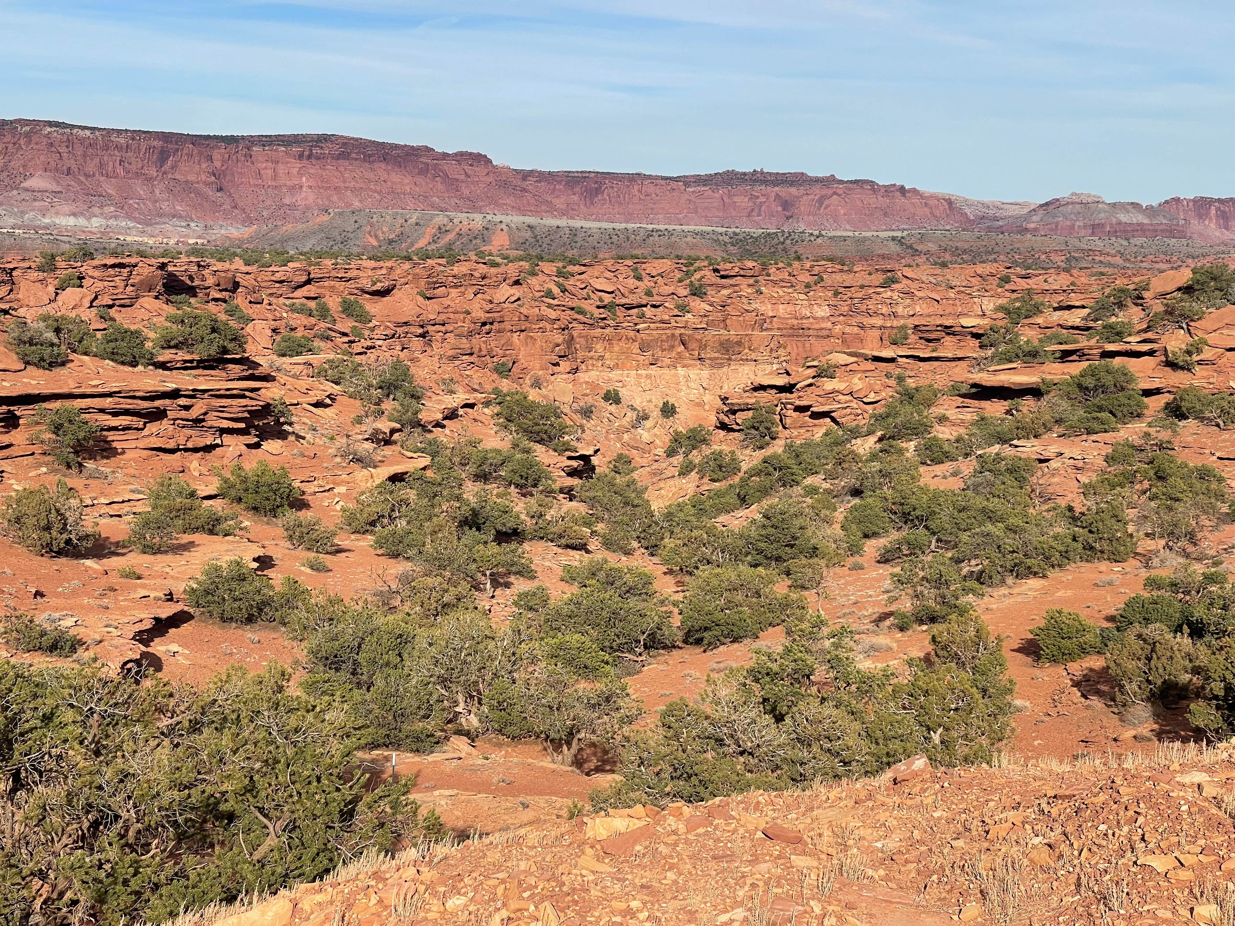 Beas Lewis Flat Dispersed