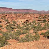 Review photo of Beas Lewis Flat Dispersed by Tracy M., March 13, 2026