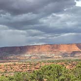Review photo of Beas Lewis Flat Dispersed by Tamra H., September 22, 2026