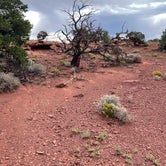 Review photo of Beas Lewis Flat Dispersed by Devin G., September 18, 2023