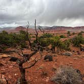 Review photo of Beas Lewis Flat Dispersed by Genevieve D., April 14, 2026