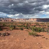 Review photo of Beas Lewis Flat Dispersed by C L., October 4, 2025