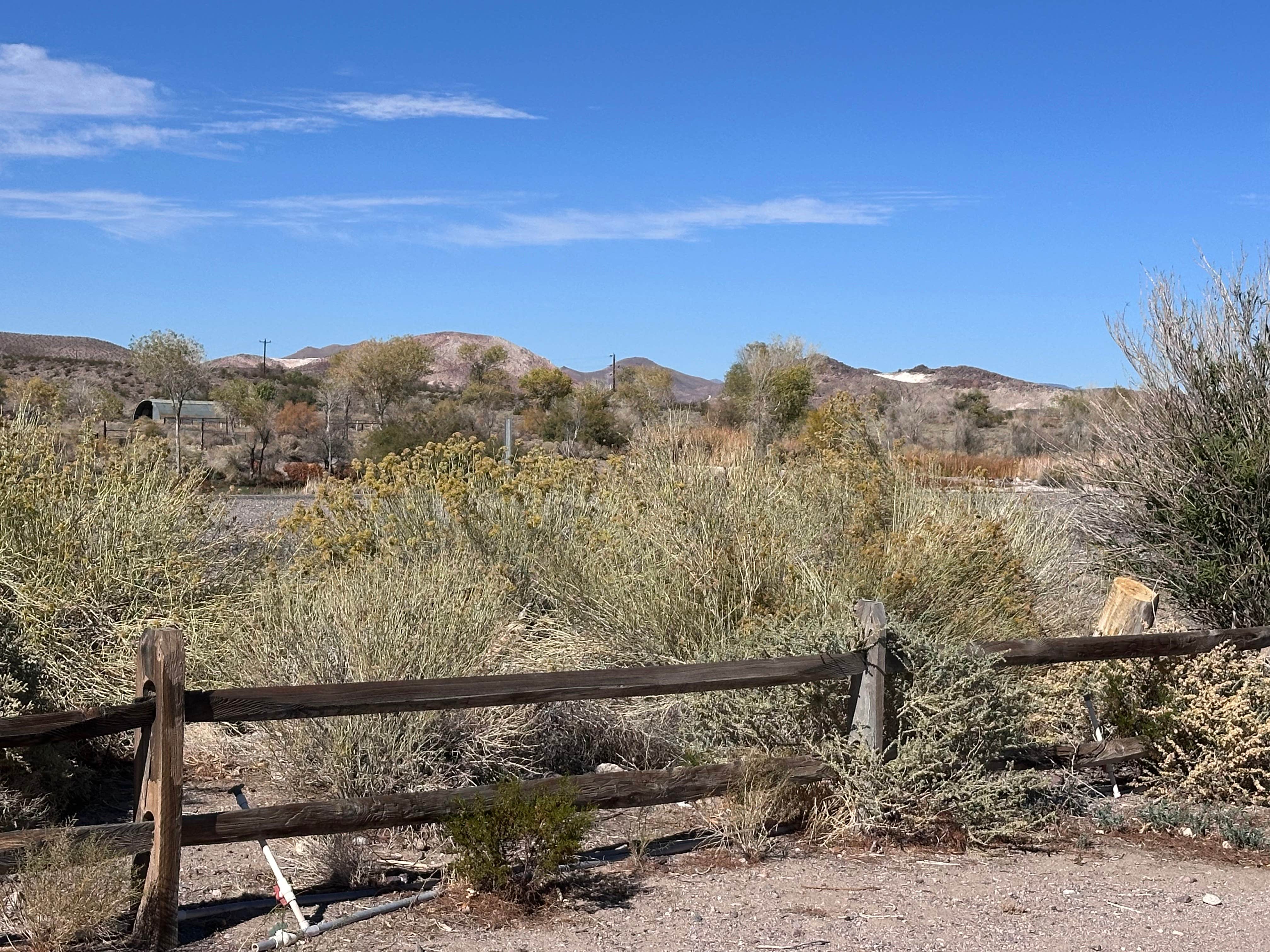 Camper submitted image from Beatty RV Park - 1