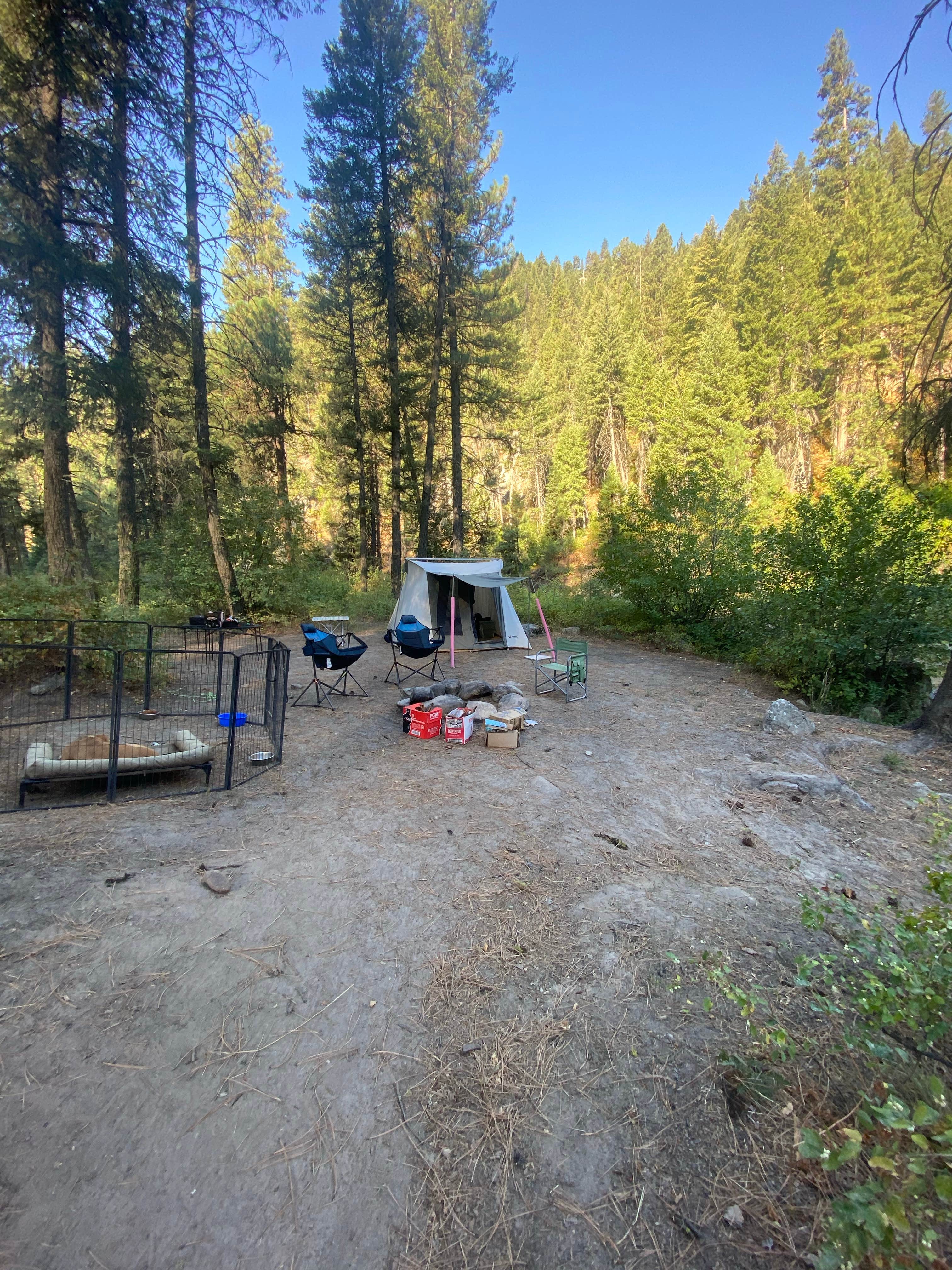 Camper-submitted photo at Beautiful Boise National Forest near Banks, ID