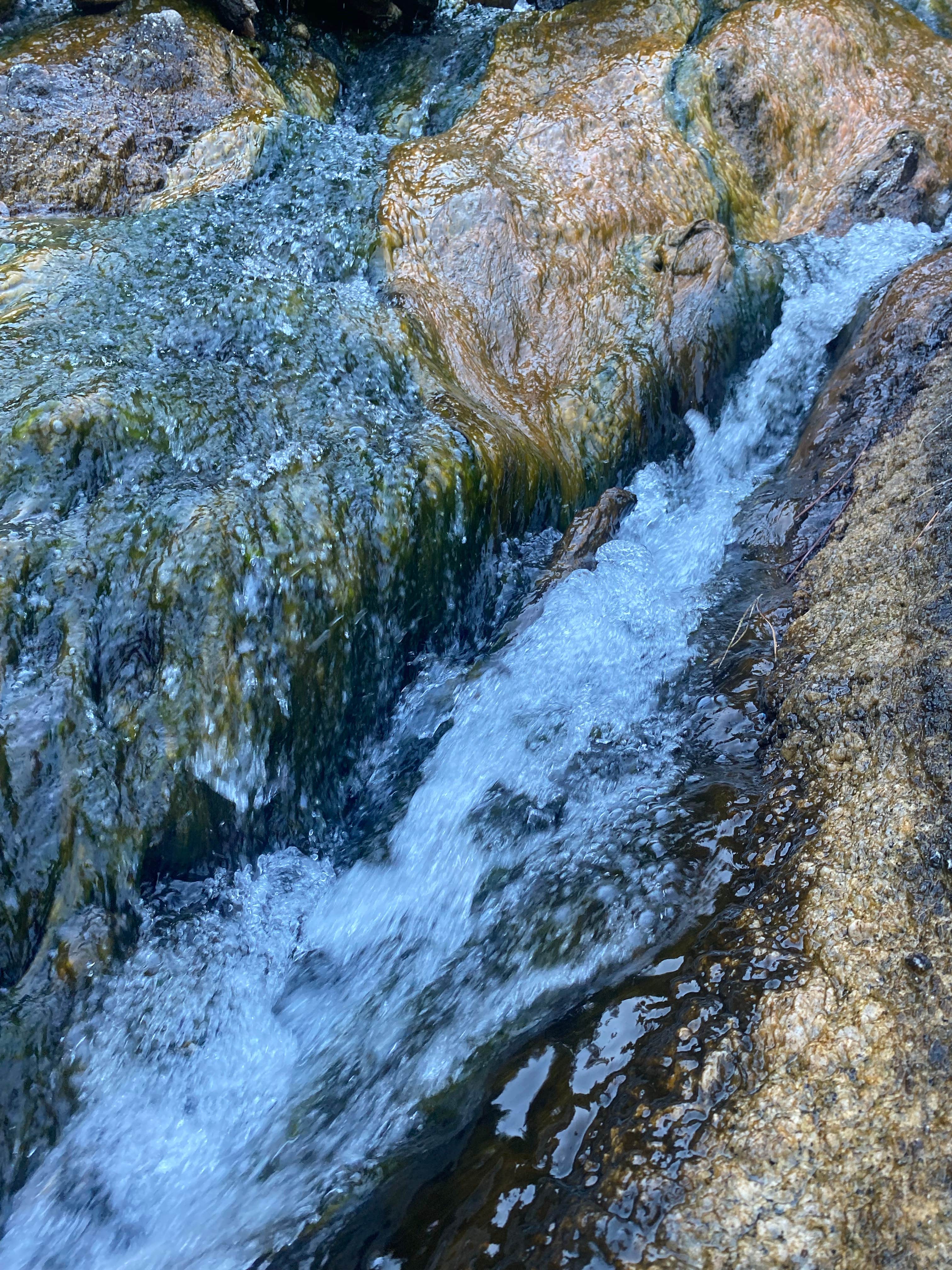 Beautiful Boise National Forest
