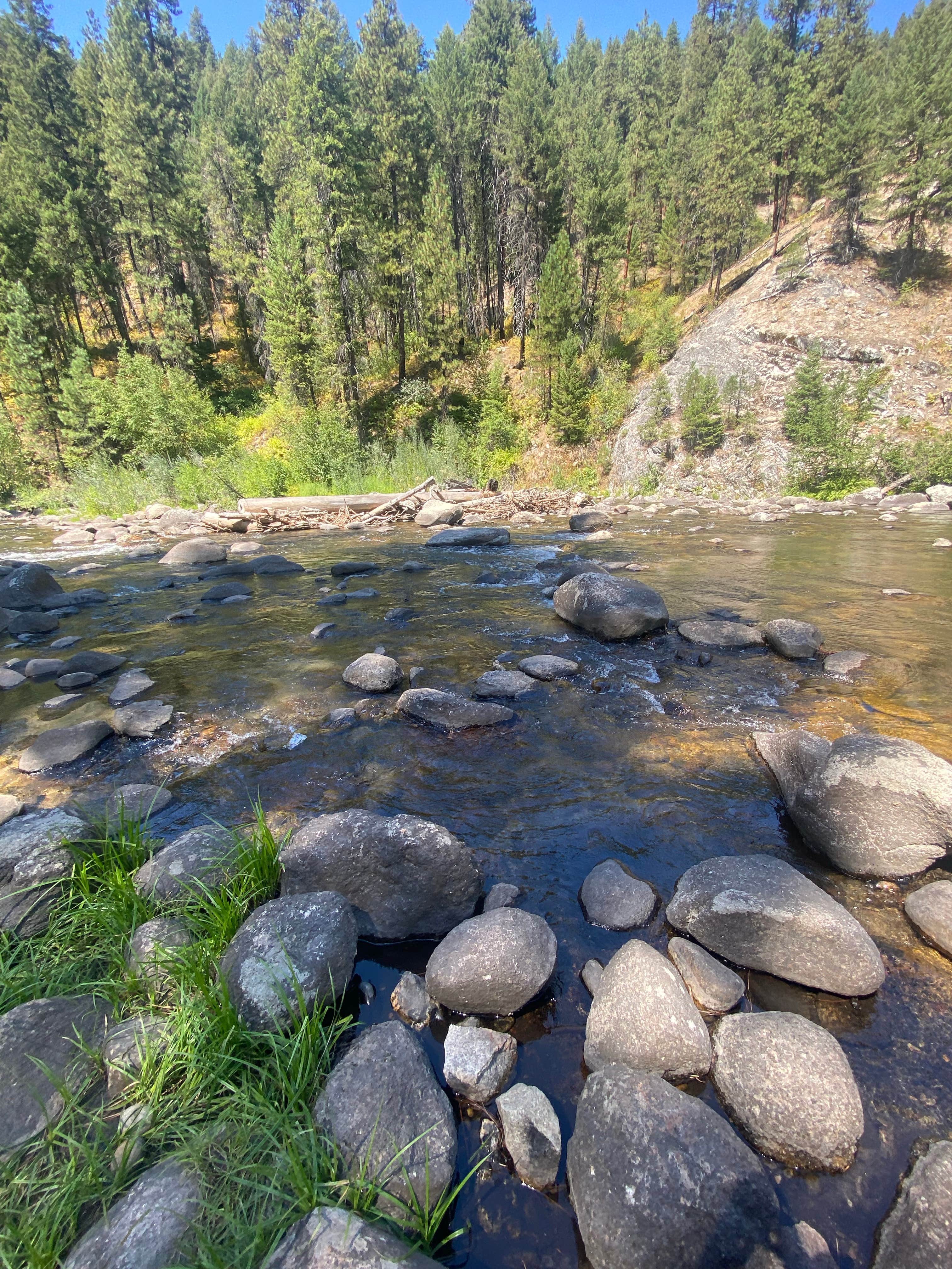Beautiful Boise National Forest